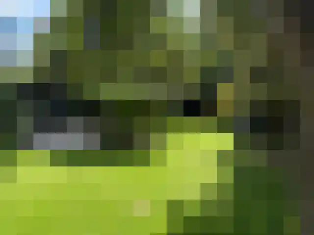 Lithse Dijk 34 Lith thumbnail 47