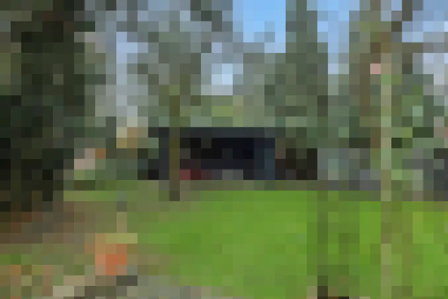 Lithse Dijk 34 Lith thumbnail 48