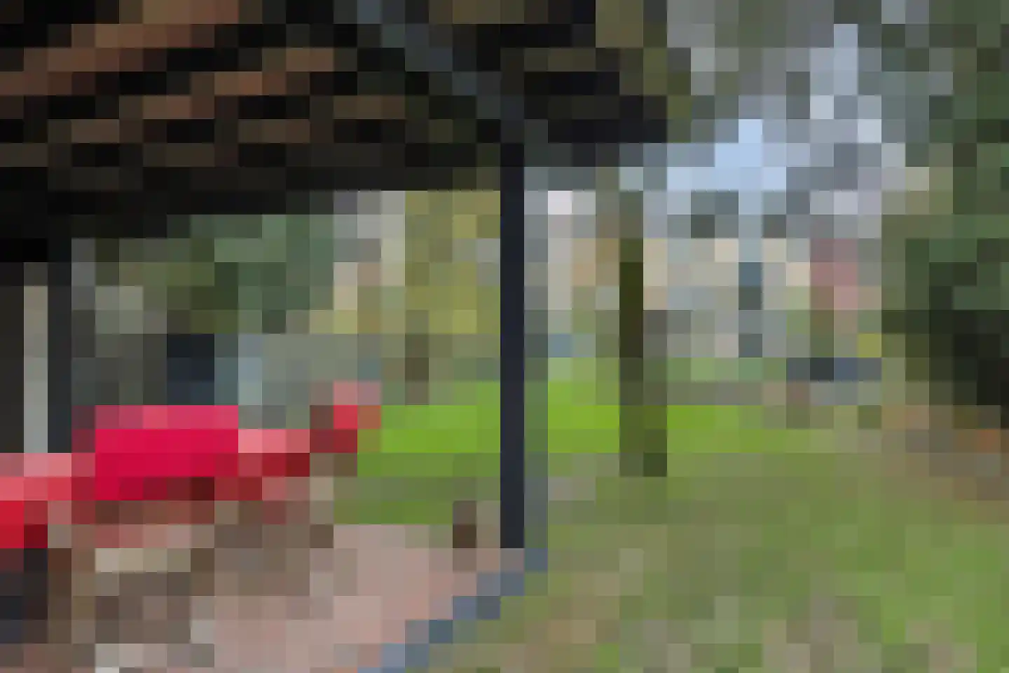 Lithse Dijk 34 Lith thumbnail 5