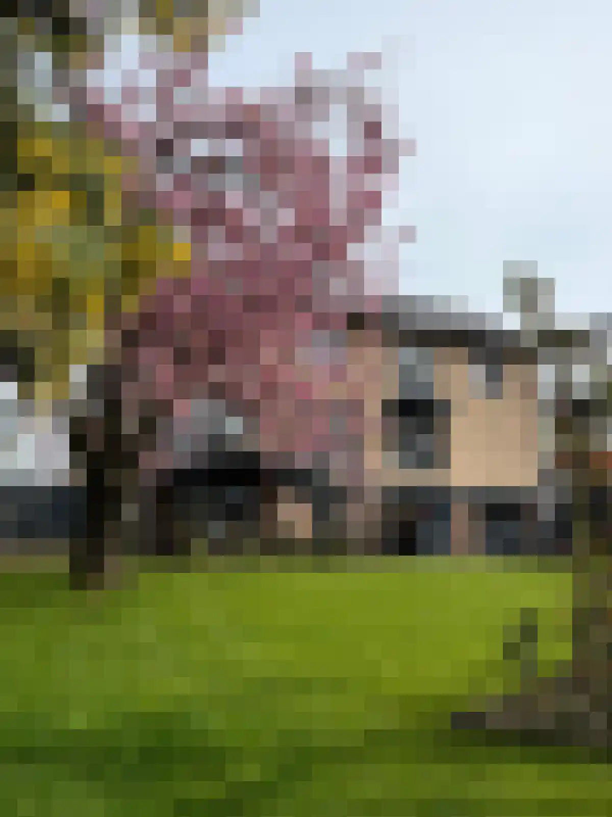 Lithse Dijk 34 Lith thumbnail 51