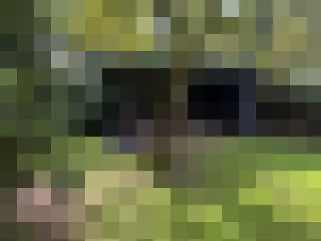 Lithse Dijk 34 Lith thumbnail 51