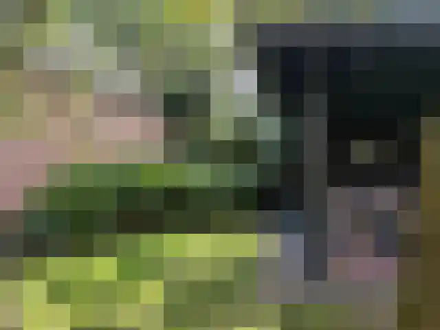 Lithse Dijk 34 Lith thumbnail 54
