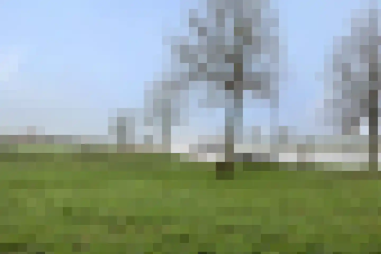 Lithse Dijk 34 Lith thumbnail 65