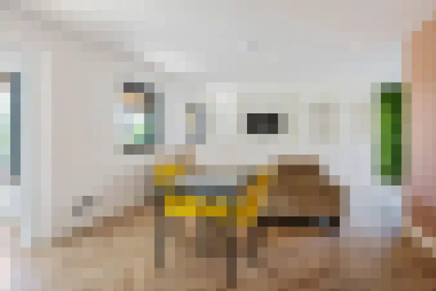 Lithse Dijk 36 Lith thumbnail 32
