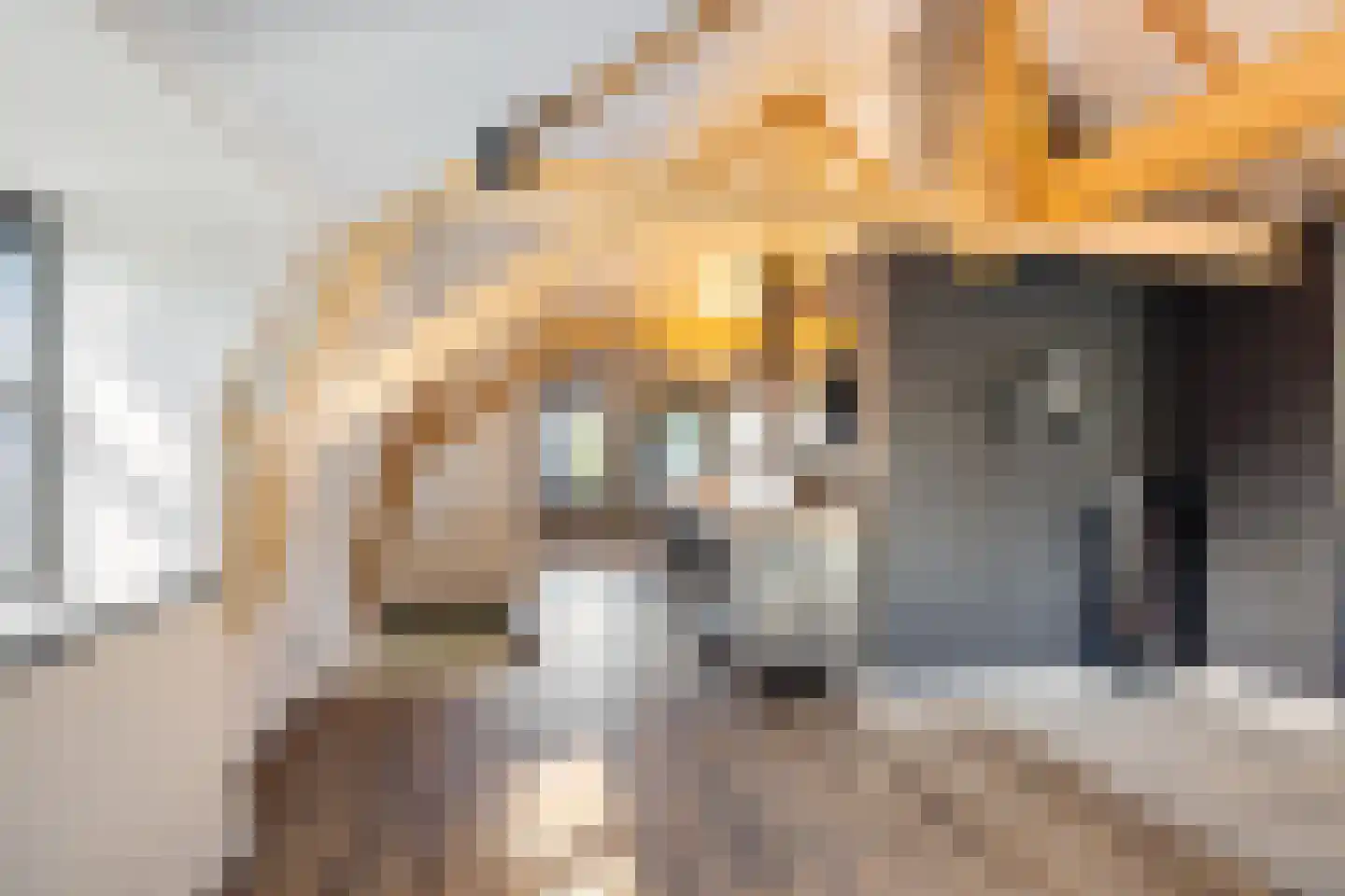 Lithse Dijk 36 Lith thumbnail 41