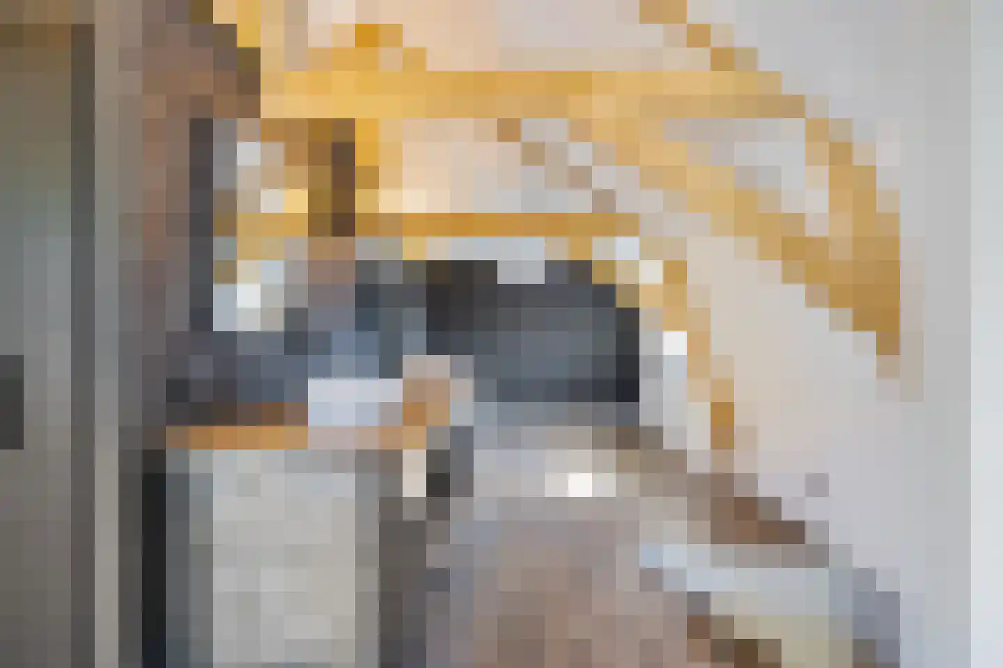 Lithse Dijk 36 Lith thumbnail 42