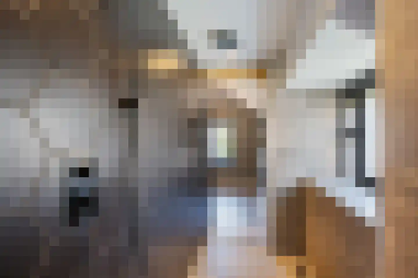 Lithse Dijk 36 Lith thumbnail 47