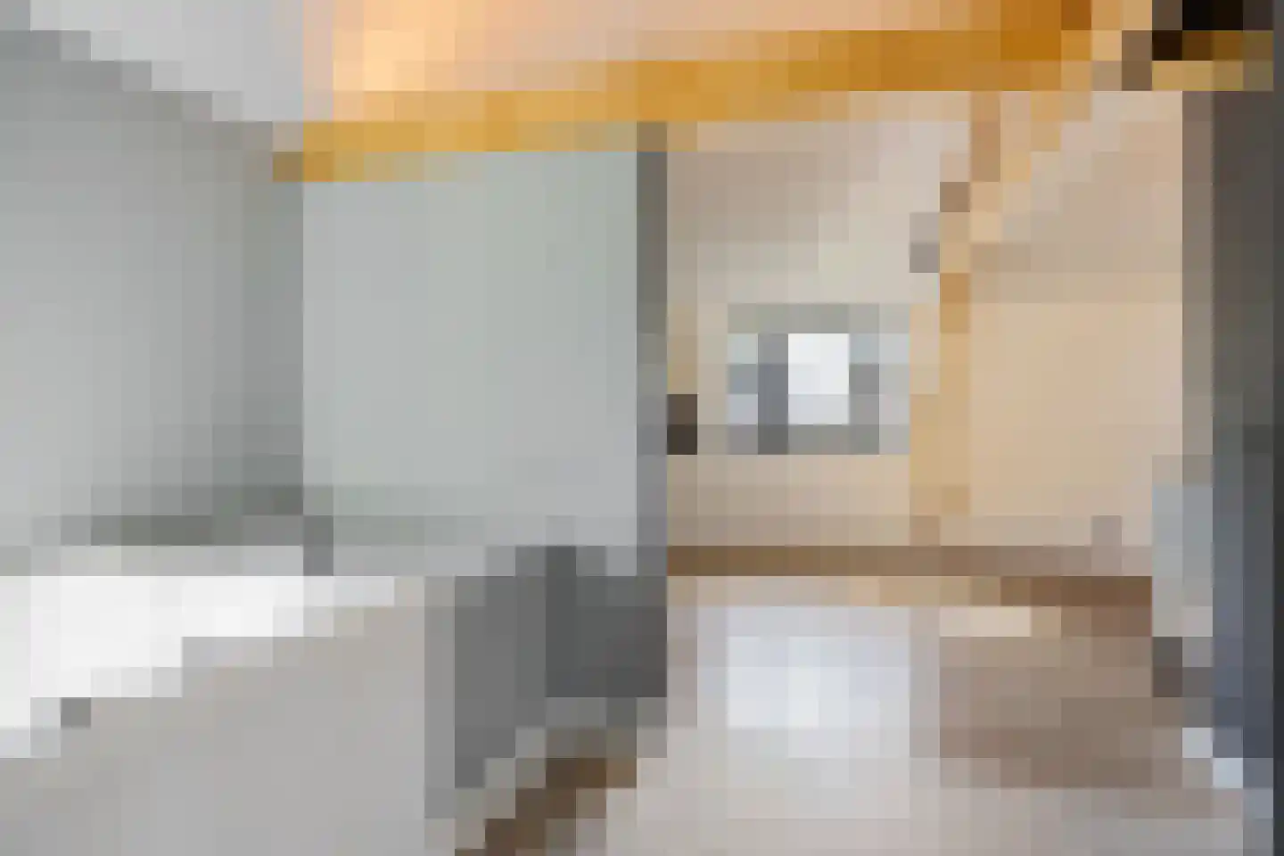 Lithse Dijk 36 Lith thumbnail 52