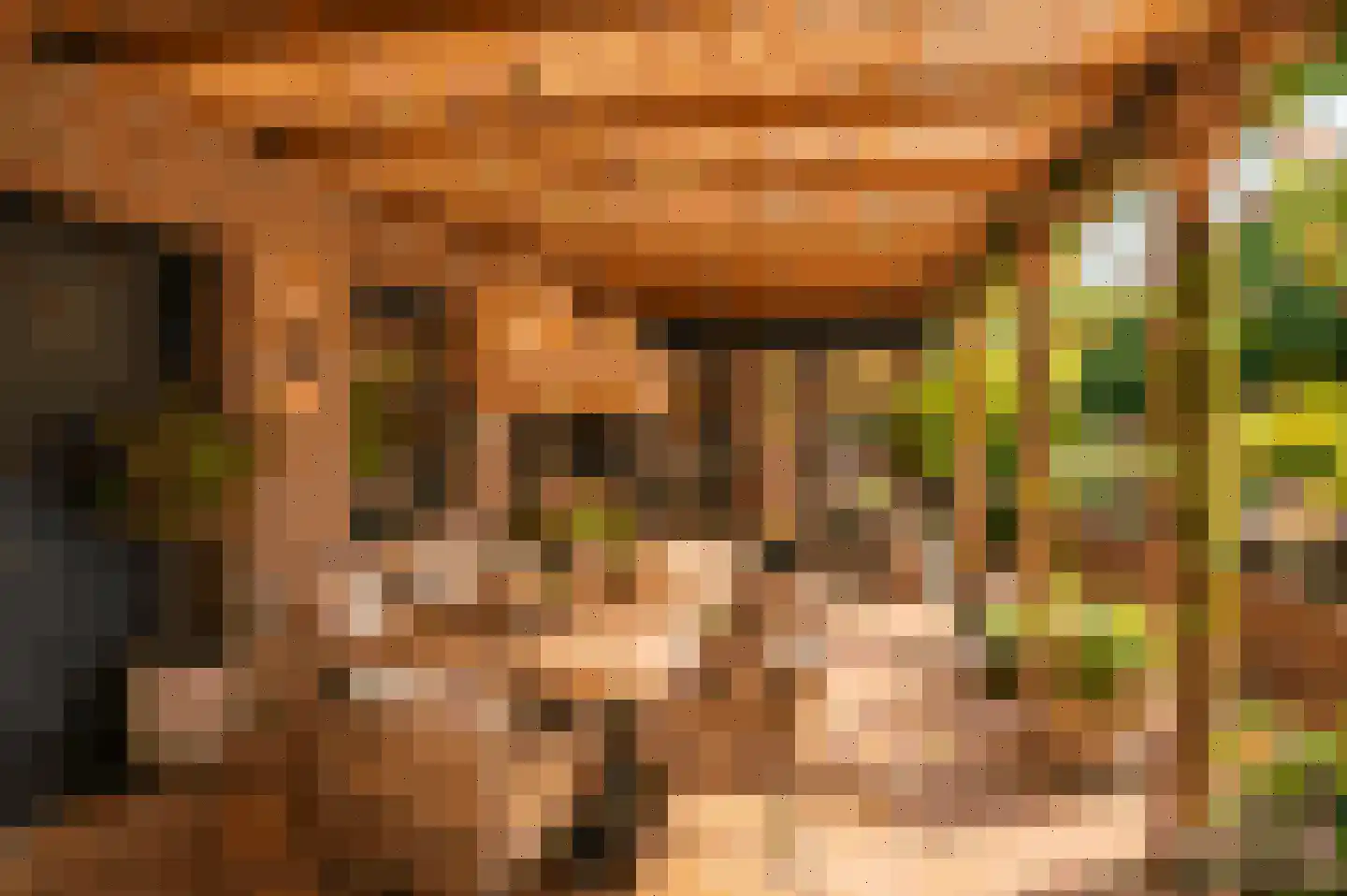 Lithse Dijk 36 Lith thumbnail 65