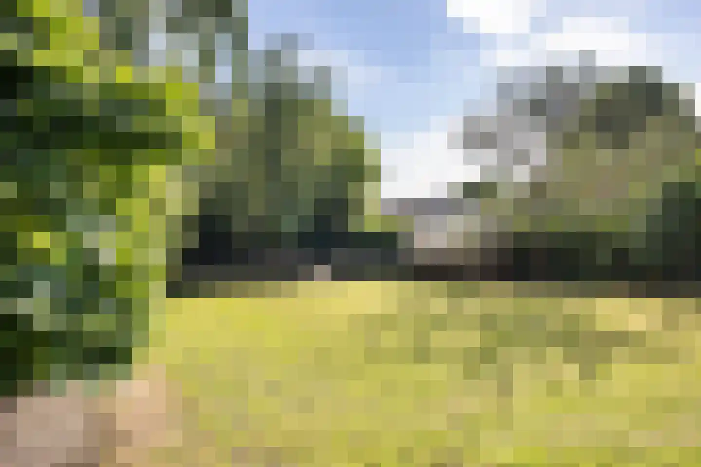 Lithse Dijk 36 Lith thumbnail 71