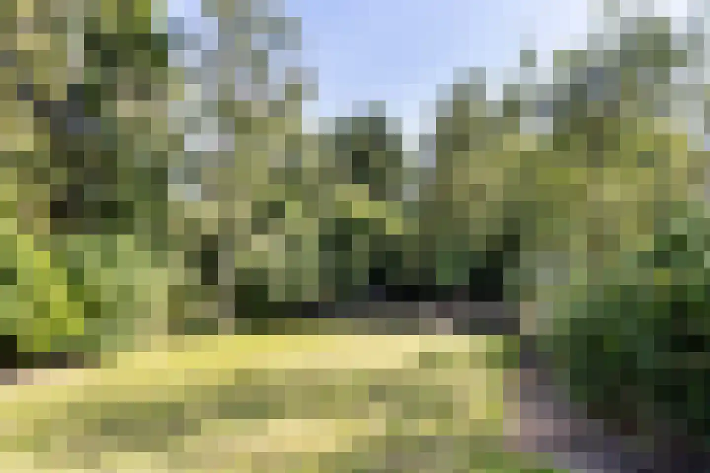 Lithse Dijk 36 Lith thumbnail 72