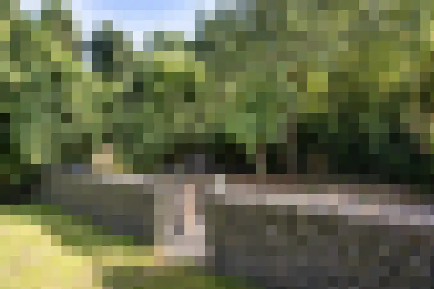Lithse Dijk 36 Lith thumbnail 73