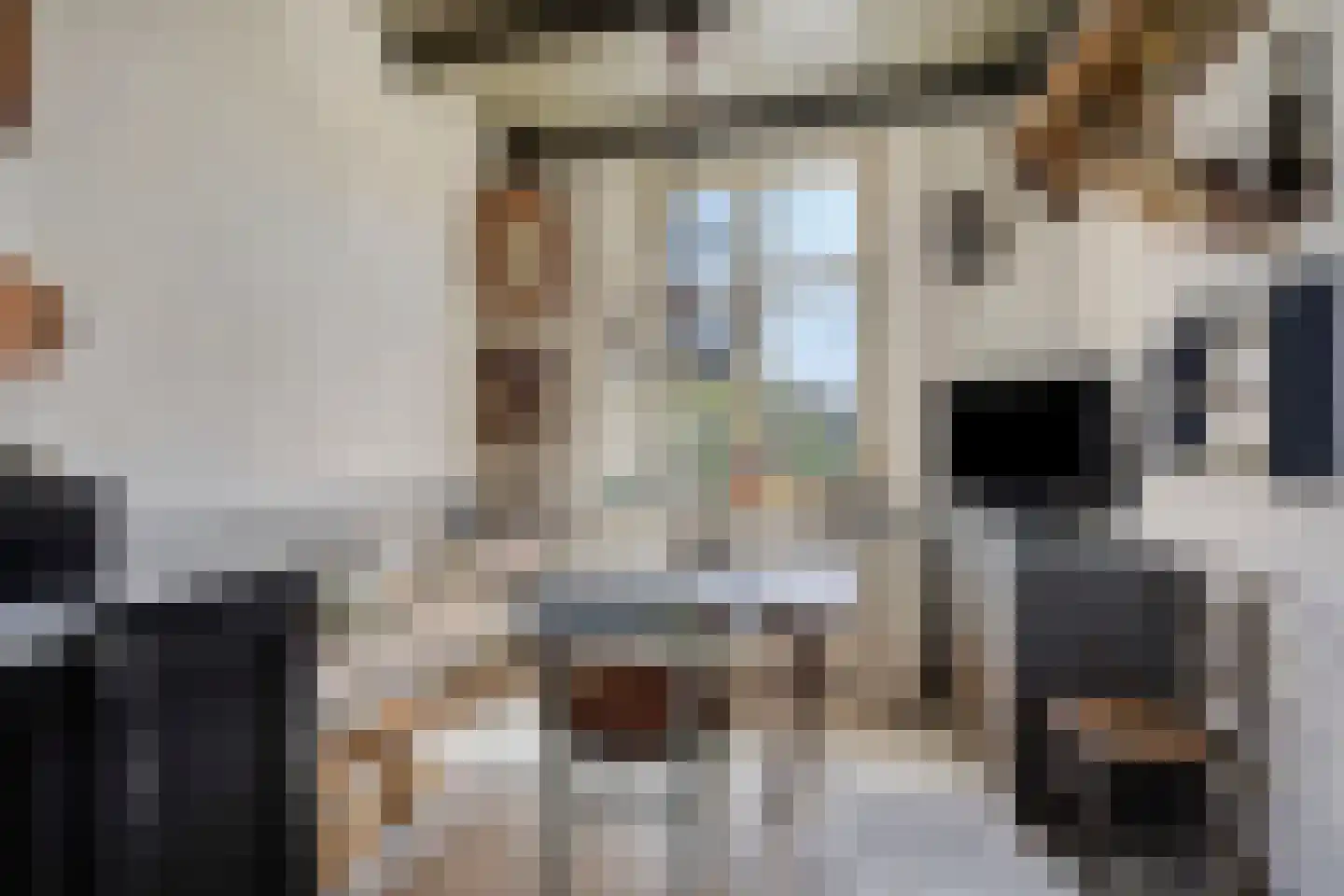 Lithse Dijk 50 Lith thumbnail 24