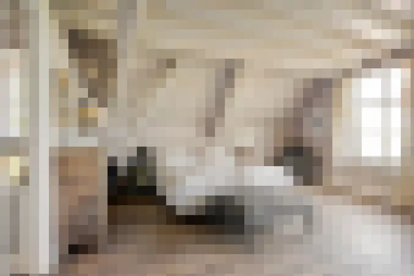 Lithse Dijk 50 Lith thumbnail 32