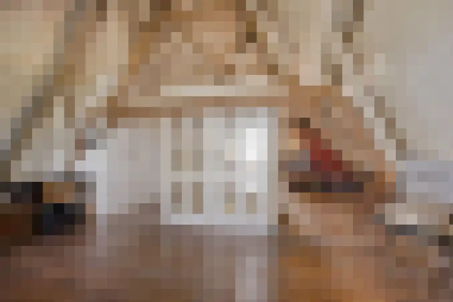 Lithse Dijk 50 Lith thumbnail 52