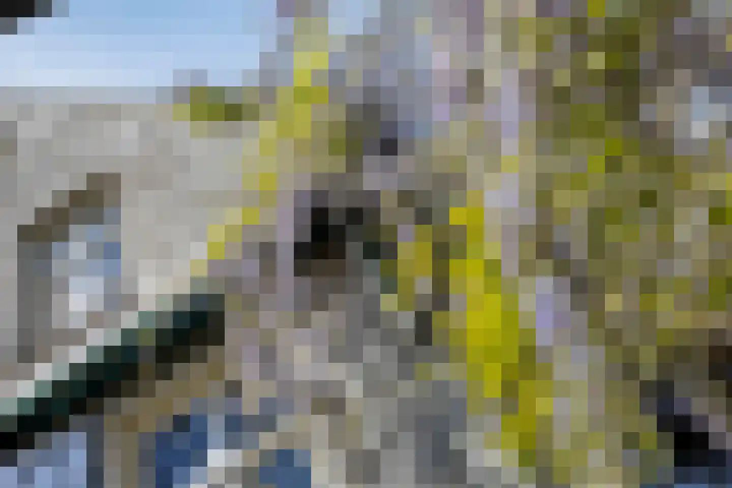 Lithse Dijk 50 Lith thumbnail 55