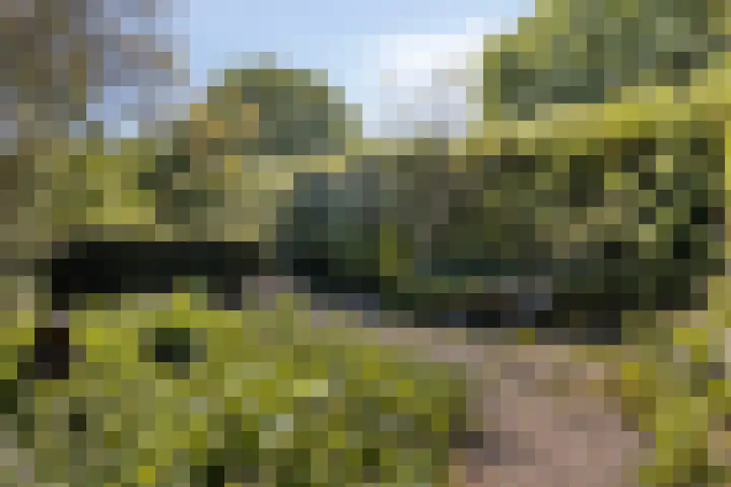 Lithse Dijk 50 Lith thumbnail 63
