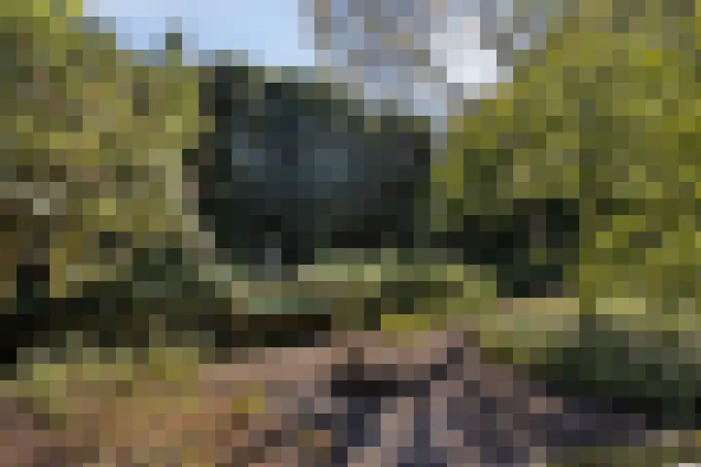 Lithse Dijk 50 Lith thumbnail 64
