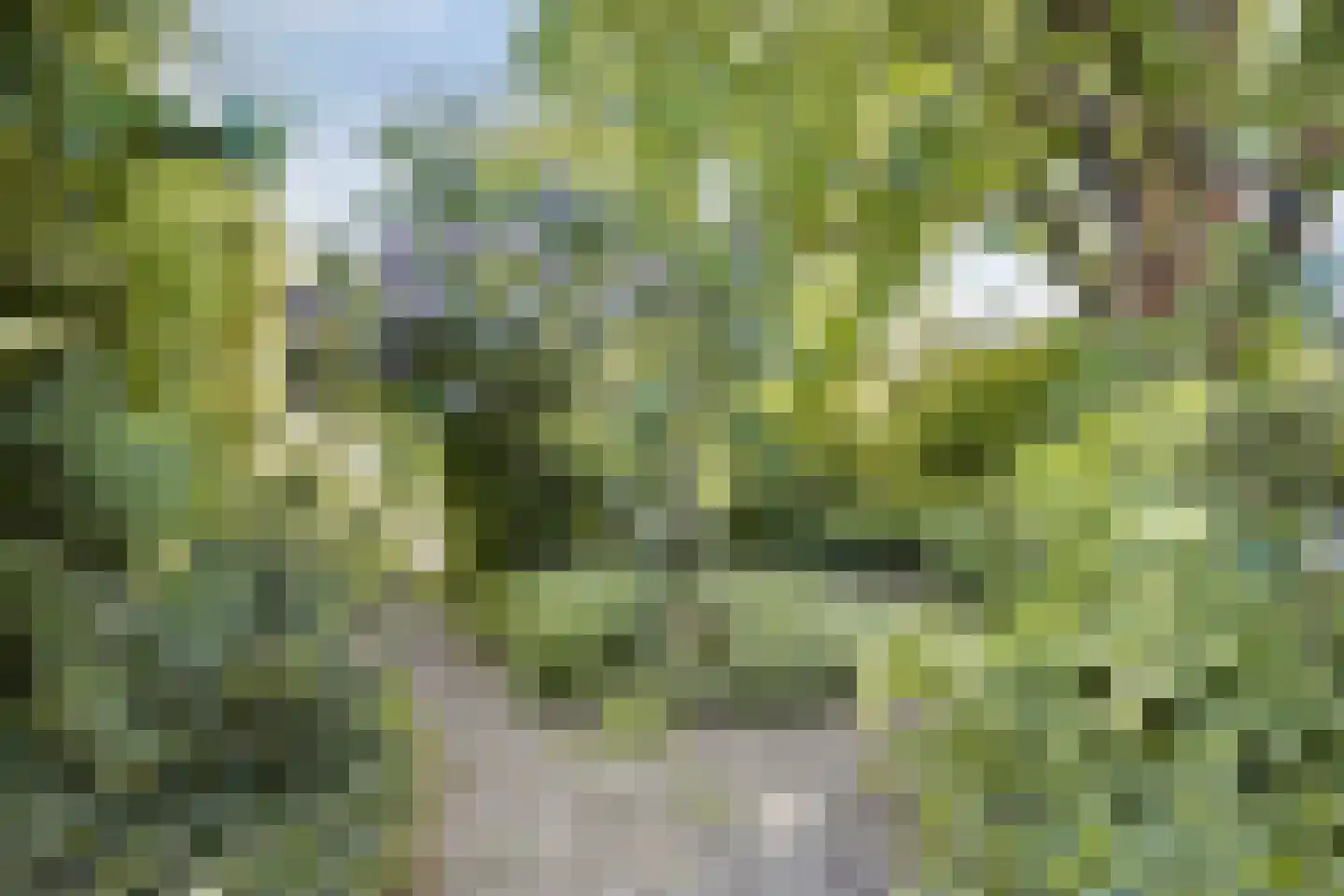 Lithse Dijk 50 Lith thumbnail 65