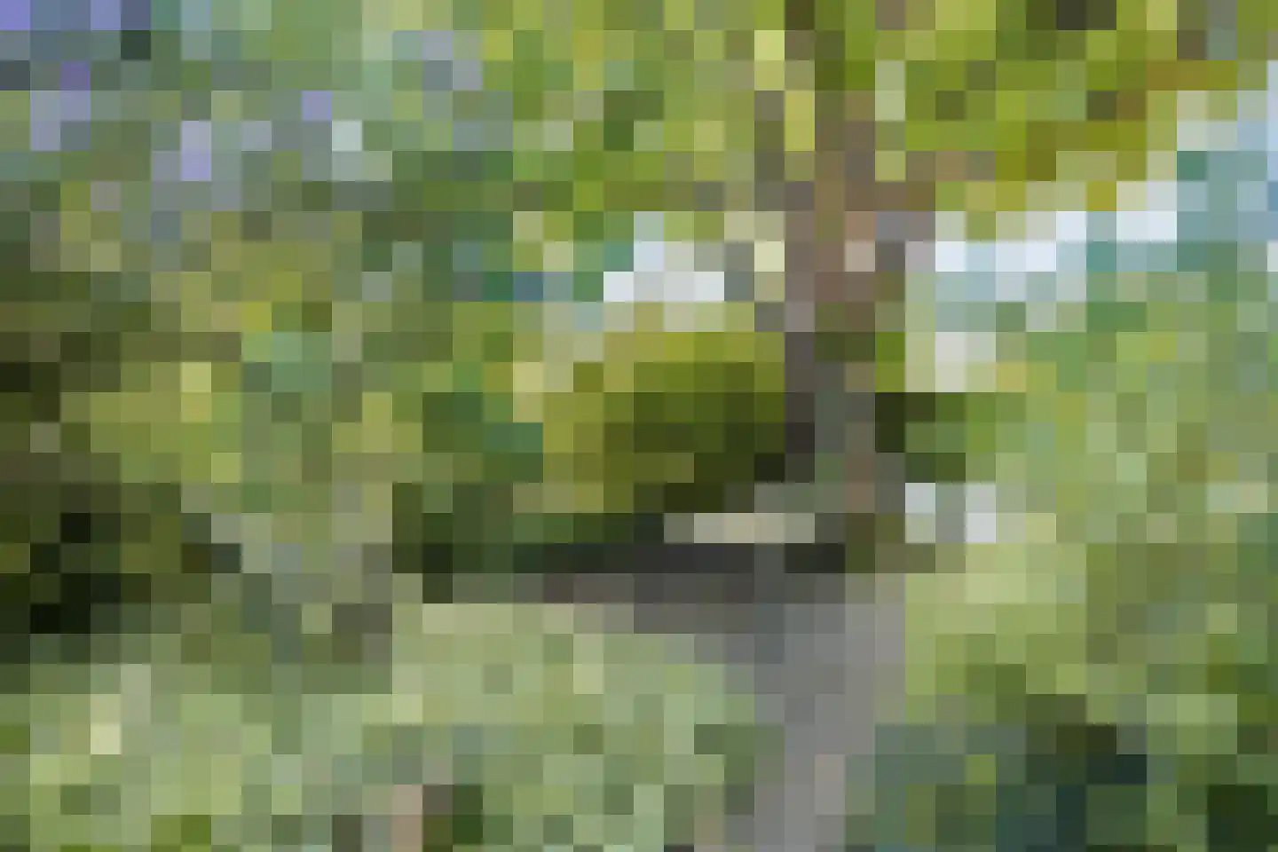 Lithse Dijk 50 Lith thumbnail 67