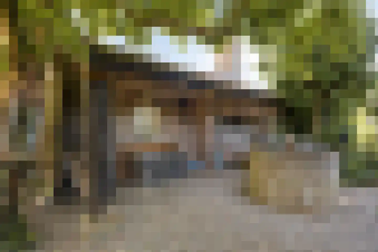 Lithse Dijk 50 Lith thumbnail 68
