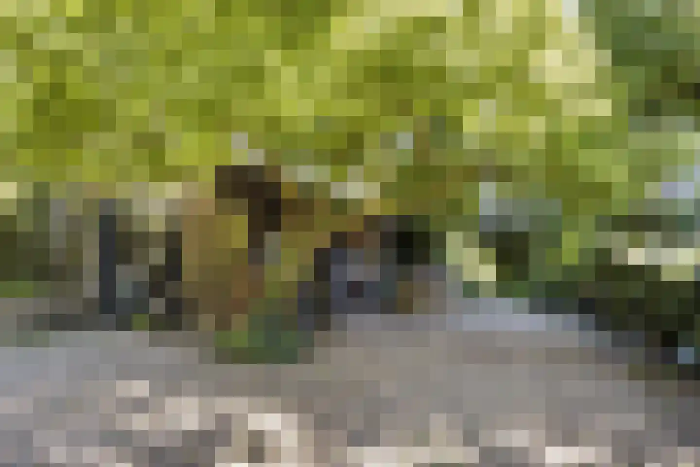 Lithse Dijk 50 Lith thumbnail 69