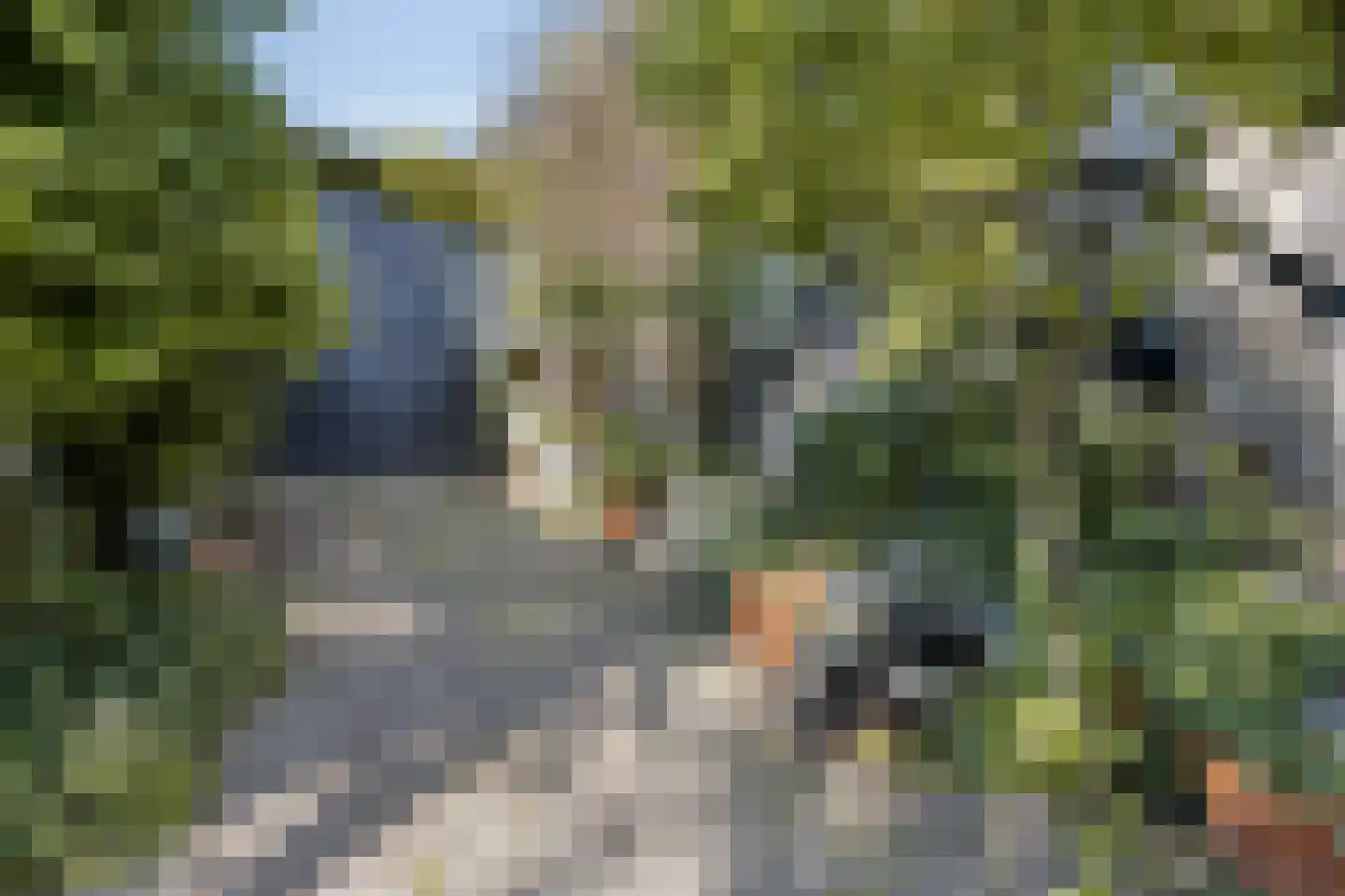 Lithse Dijk 50 Lith thumbnail 72