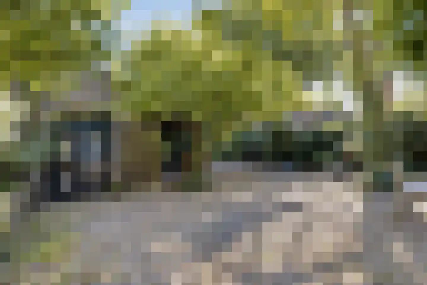Lithse Dijk 50 Lith thumbnail 73