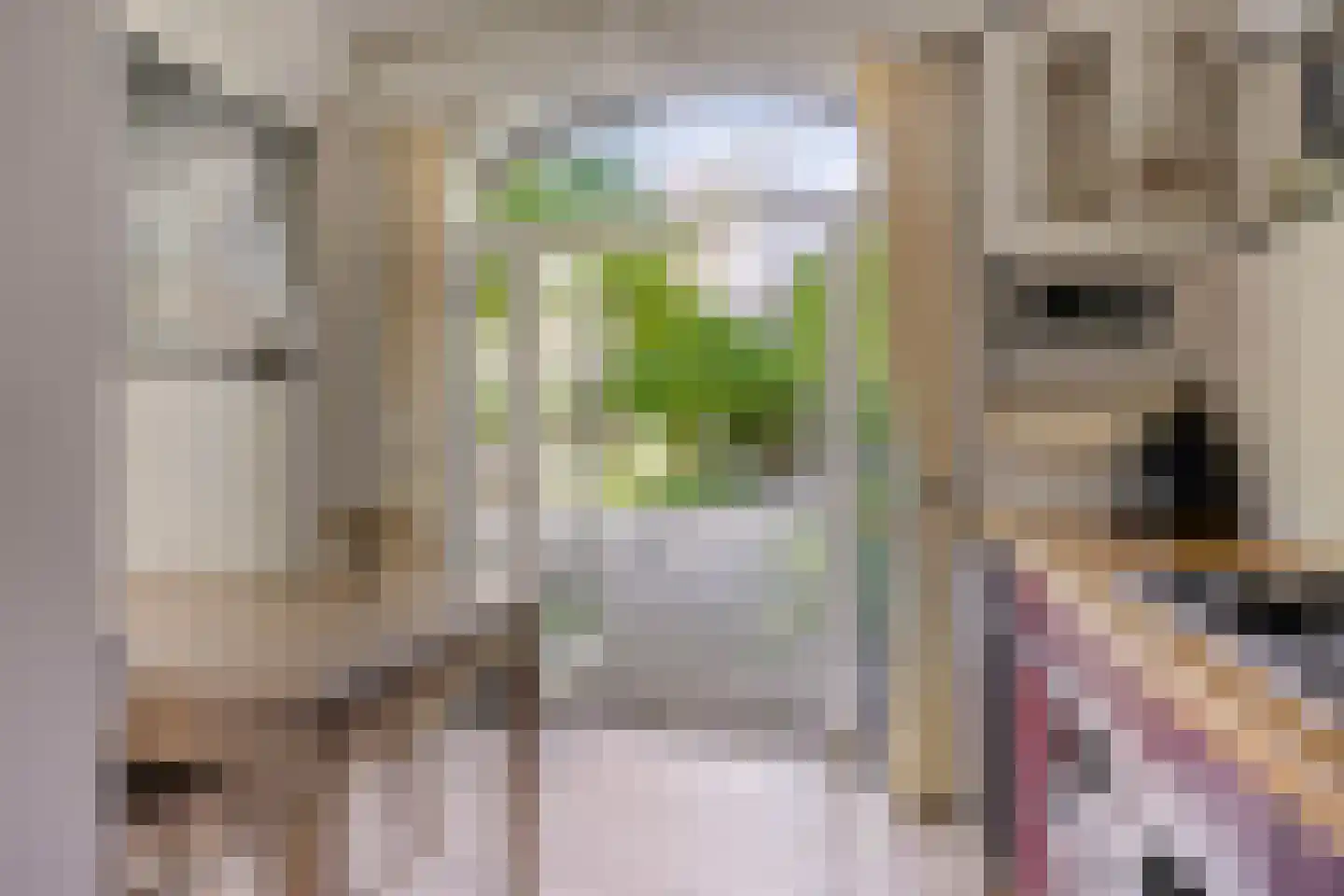 Lithse Dijk 50 Lith thumbnail 76
