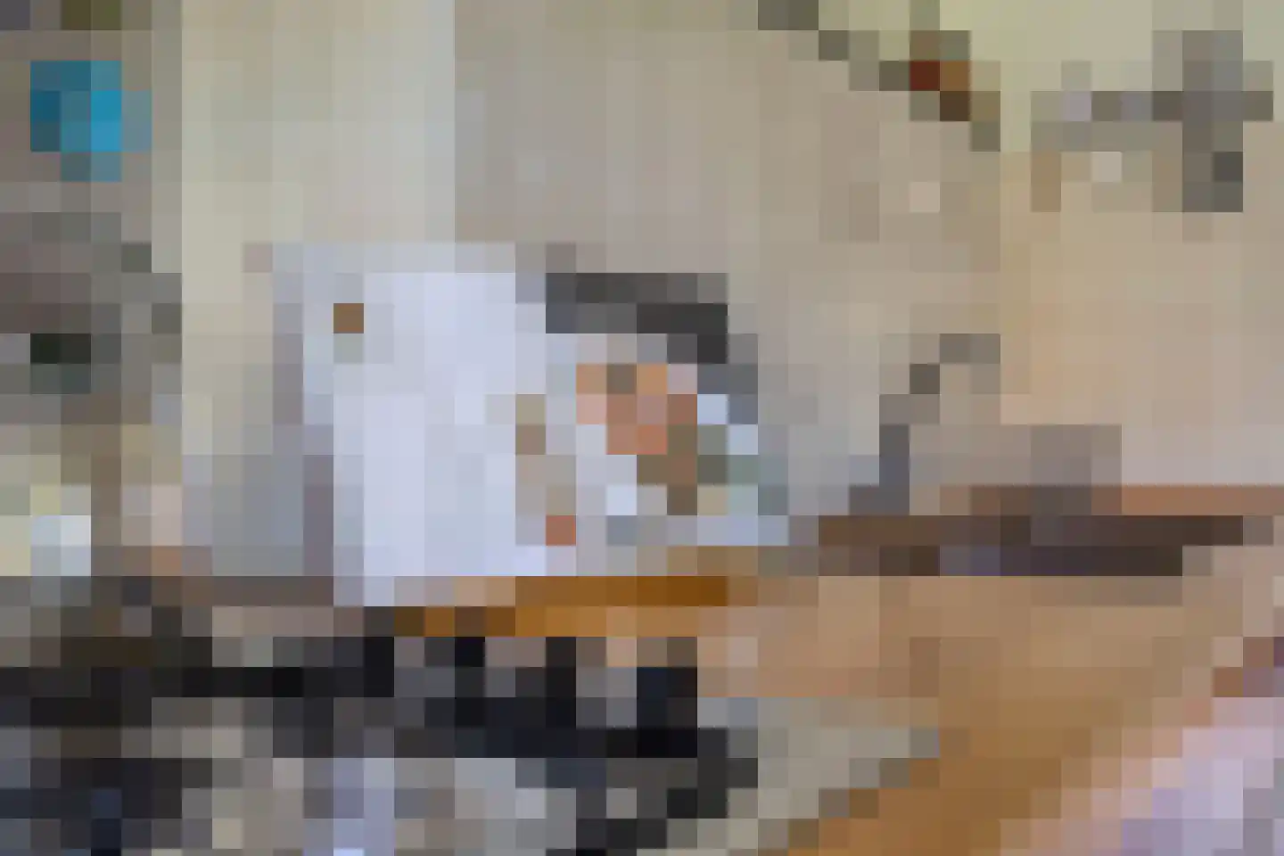 Lithse Dijk 50 Lith thumbnail 77