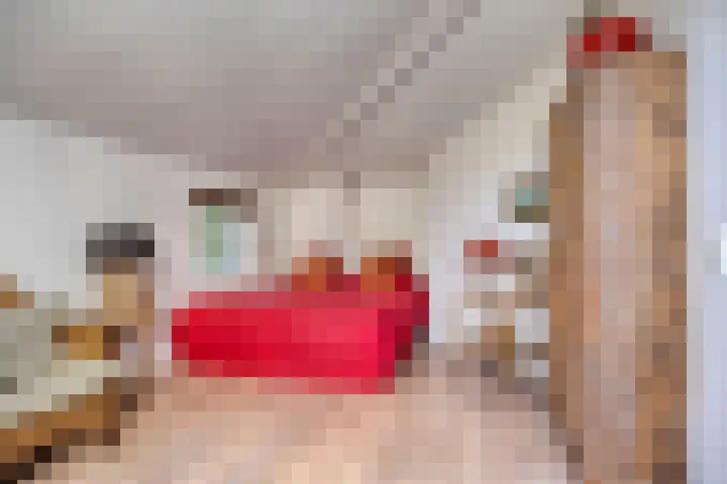 Lithse Dijk 50 Lith thumbnail 79