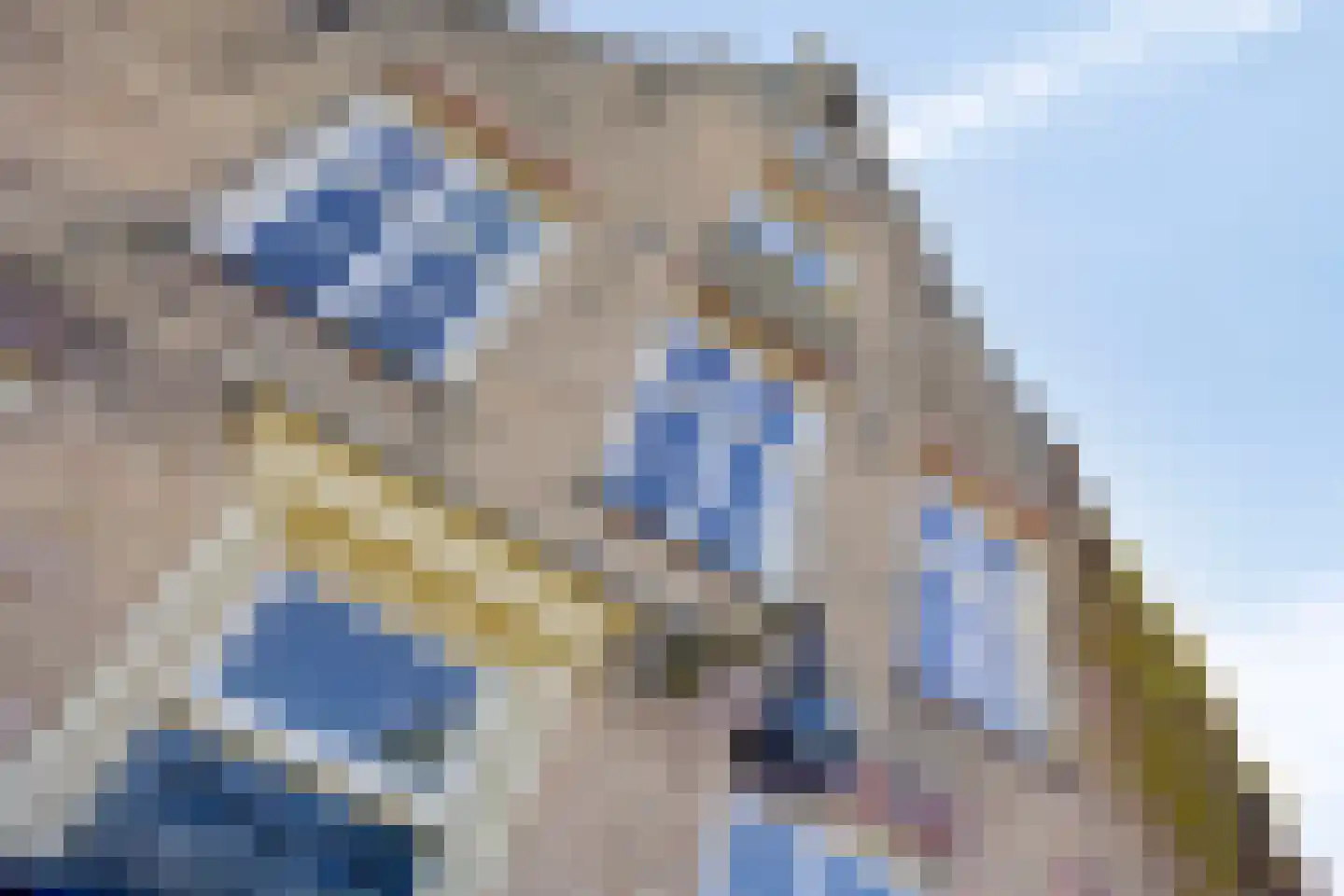 Lithse Dijk 50 Lith thumbnail 8