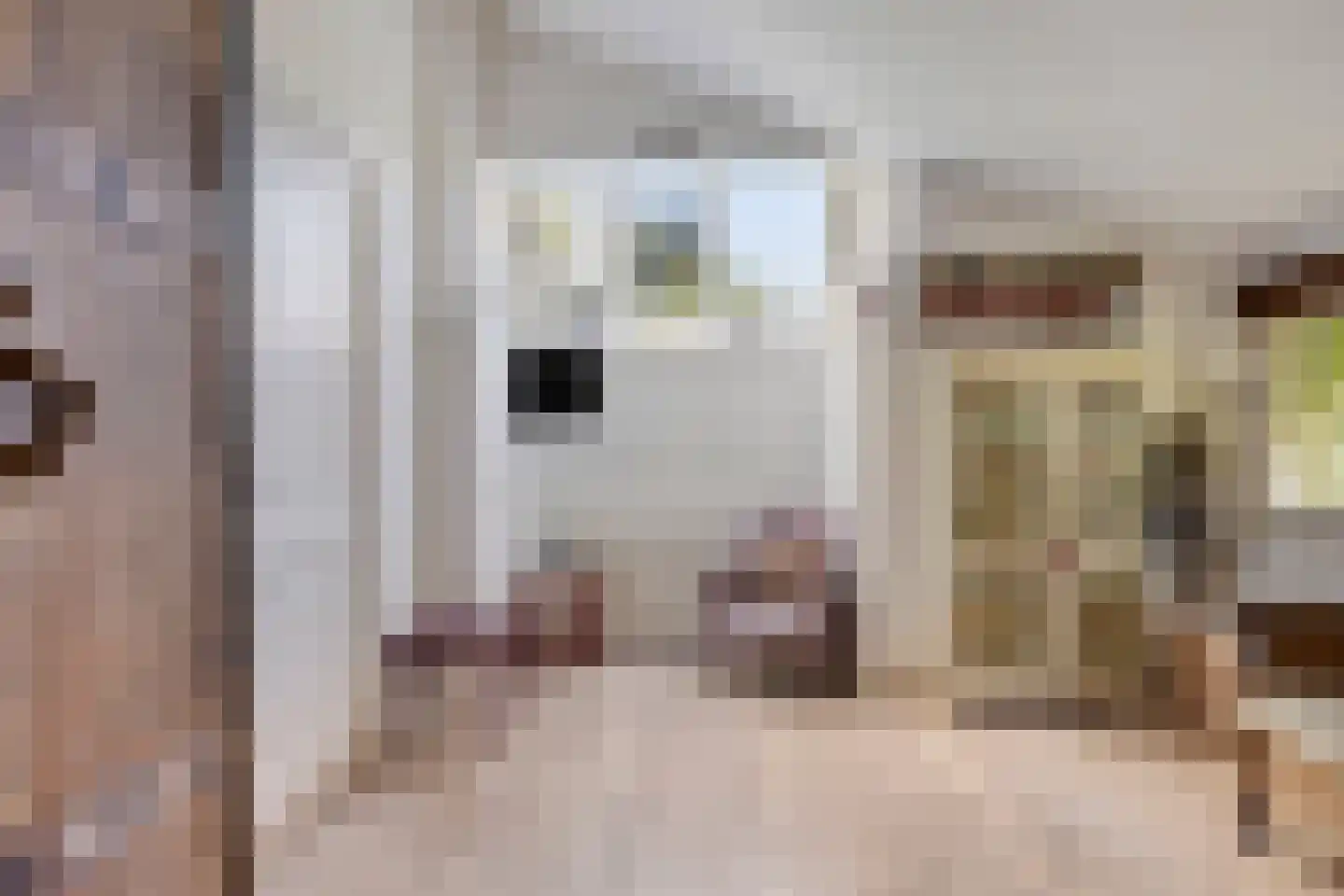 Lithse Dijk 50 Lith thumbnail 80