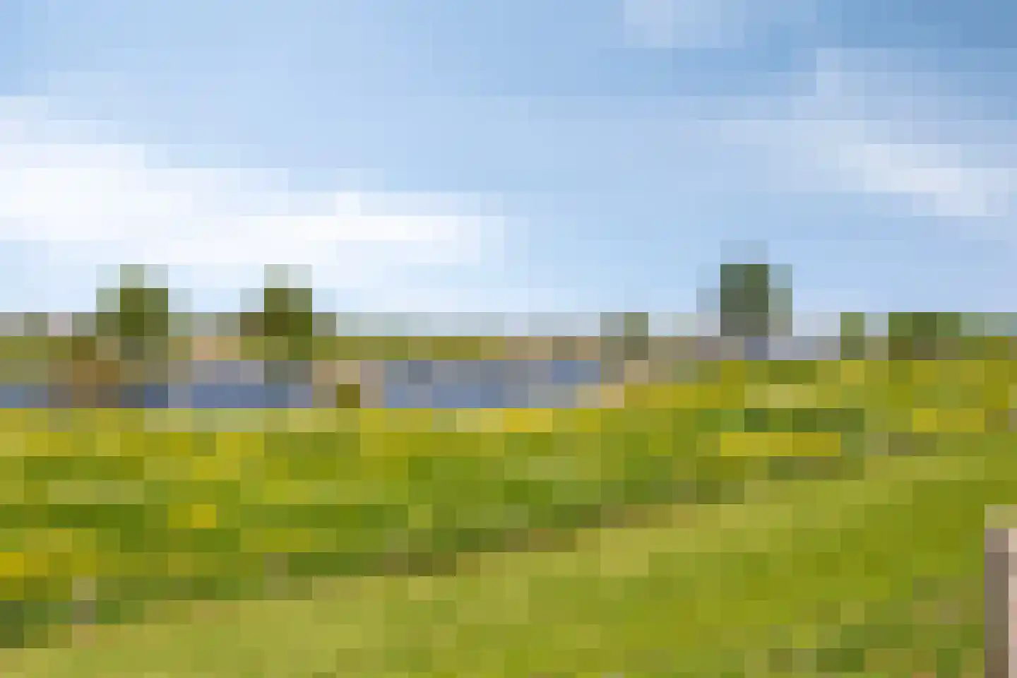 Lithse Dijk 50 Lith thumbnail 84