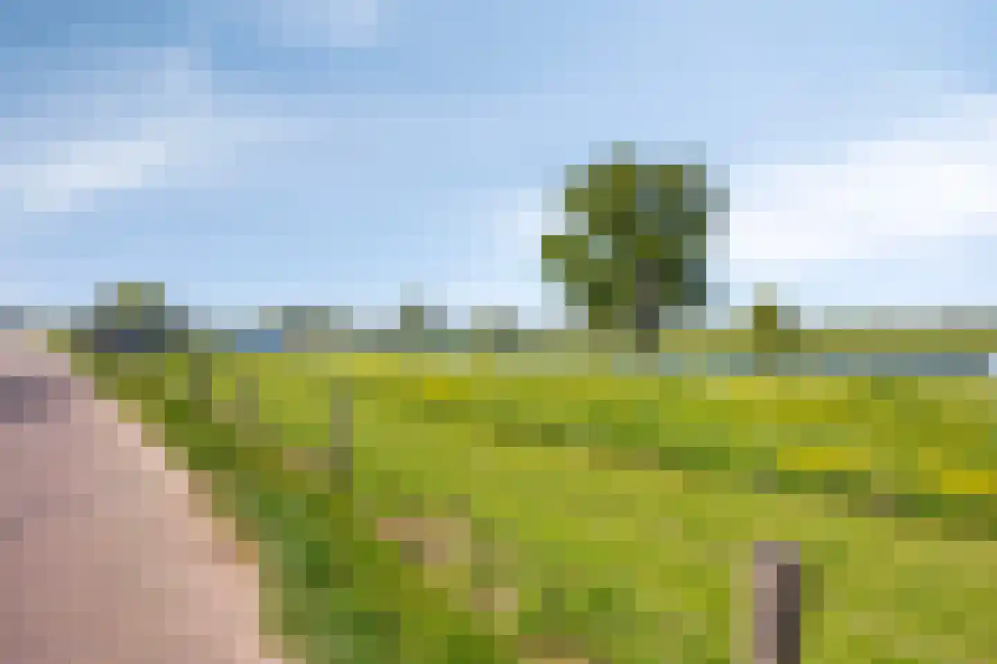 Lithse Dijk 50 Lith thumbnail 85