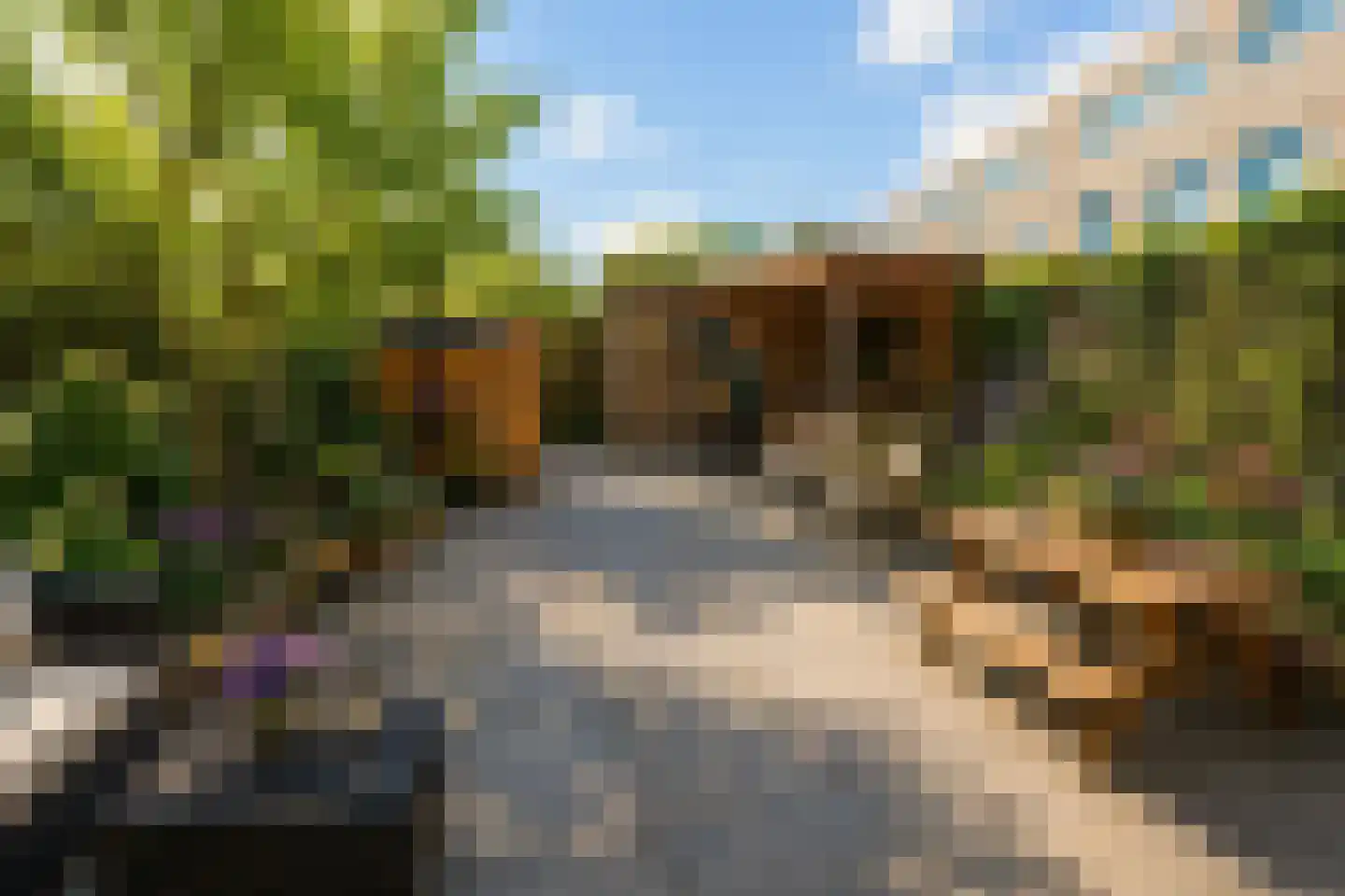 Litouwen 2 Delft thumbnail 16