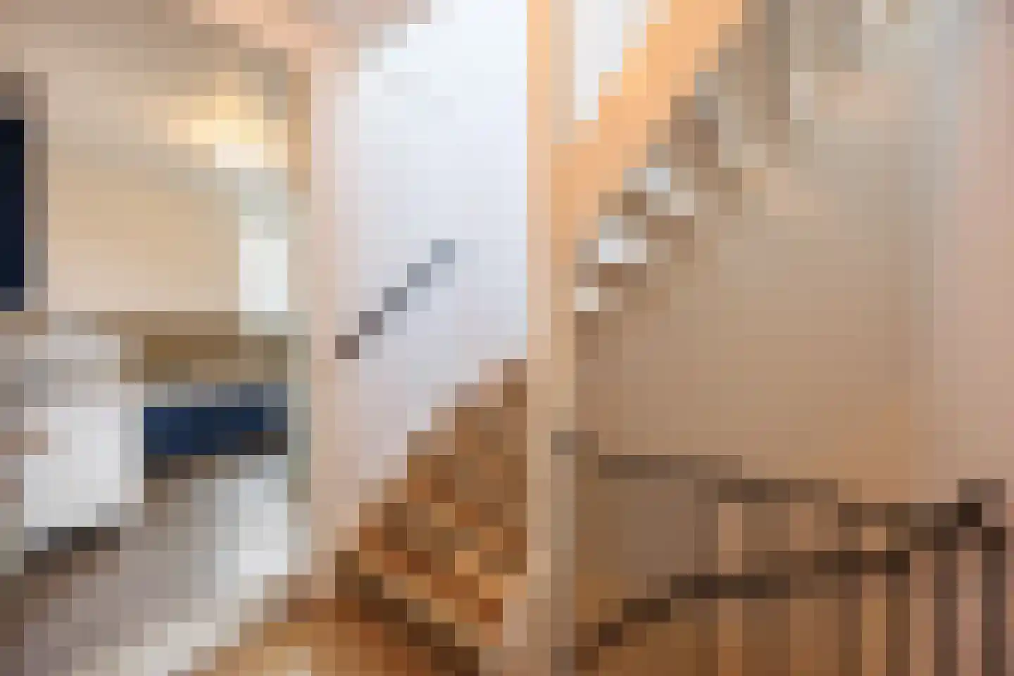 Litouwen 2 Delft thumbnail 21