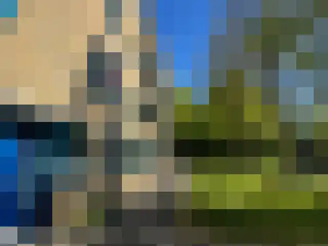 Litouwen 2 Delft thumbnail 6