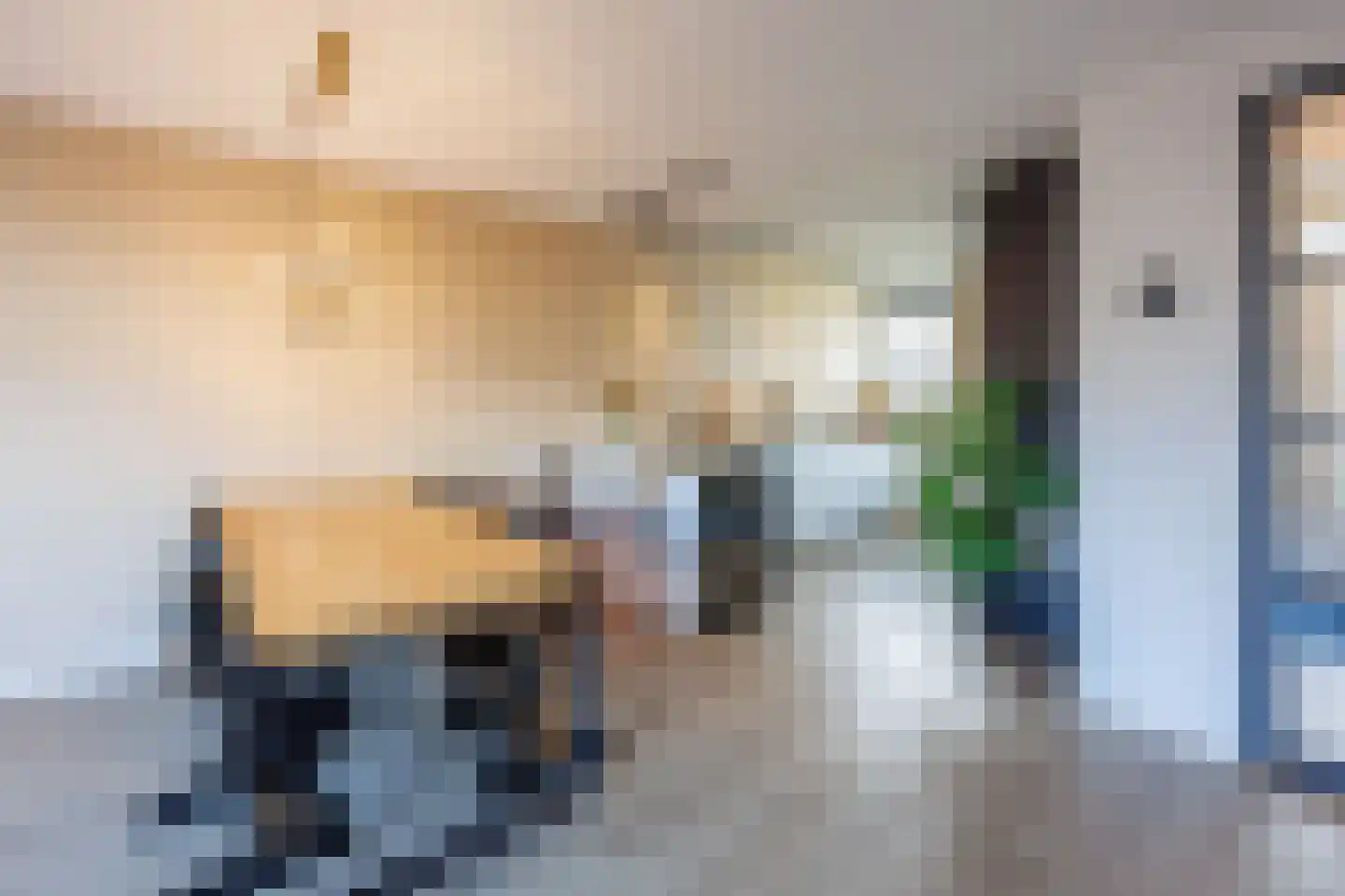 Litouwen 2 Delft thumbnail 9