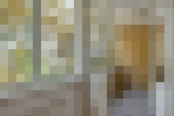 Litouwen 30 Delft thumbnail 10
