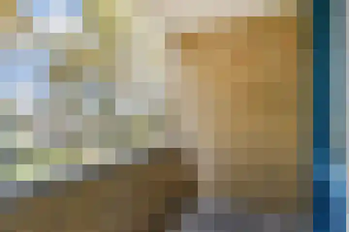 Litouwen 30 Delft thumbnail 11