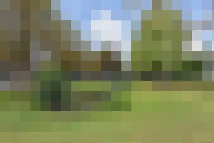 Litouwen 30 Delft thumbnail 4