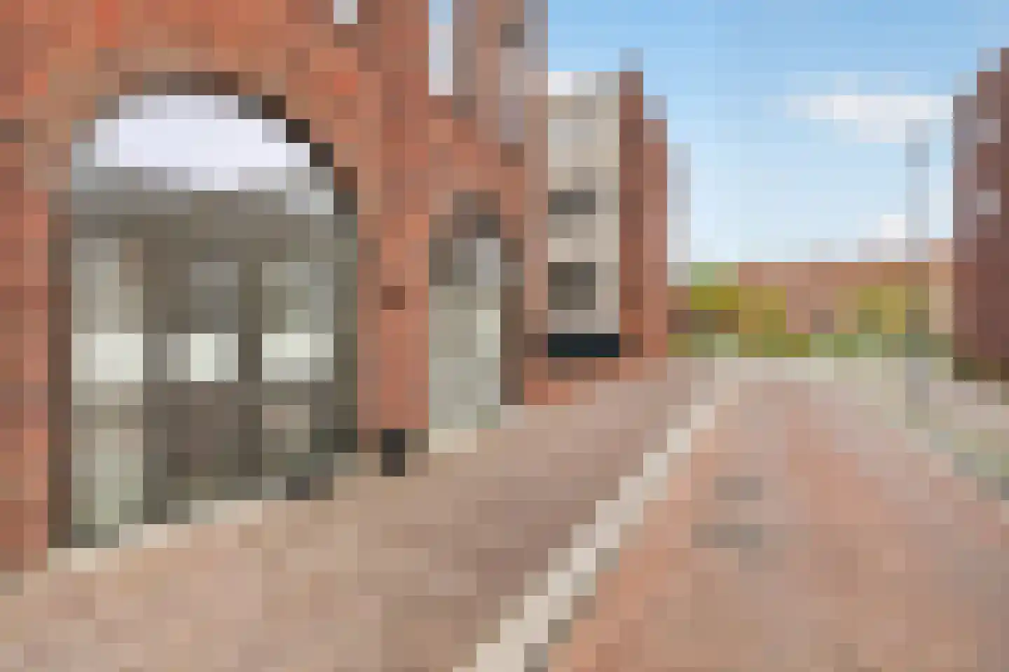 Litouwenstraat 25 Almere thumbnail 33