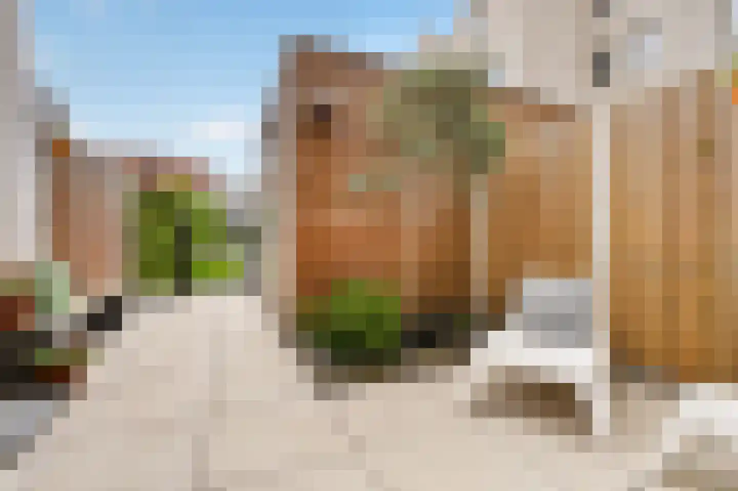 Litouwenstraat 25 Almere thumbnail 8