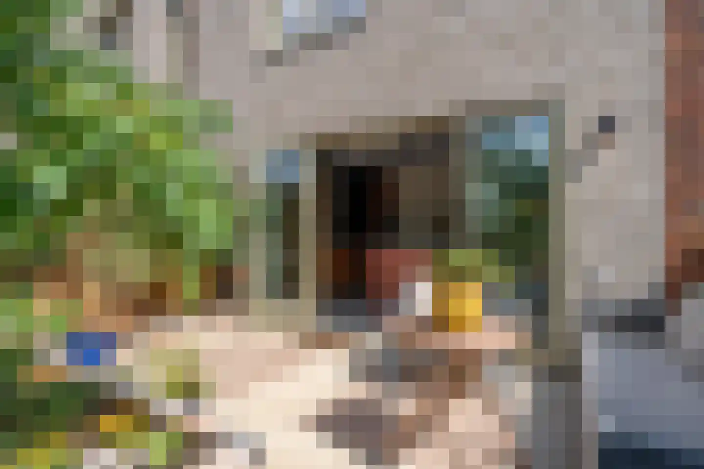 Litouwenstraat 36 Almere thumbnail 46