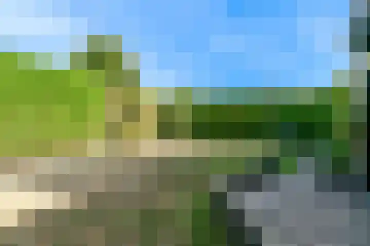 Litscherboord 47 Heerlen thumbnail 23