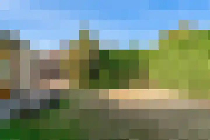Litscherboord 47 Heerlen thumbnail 24