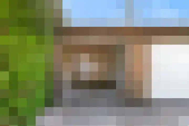 Litscherboord 47 Heerlen thumbnail 28