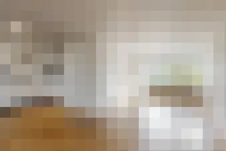 Litscherboord 47 Heerlen thumbnail 5