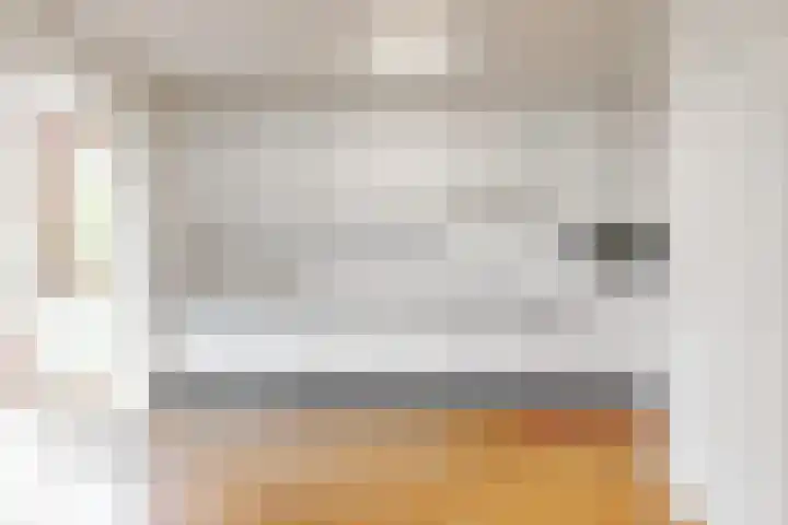 Litscherboord 47 Heerlen thumbnail 9